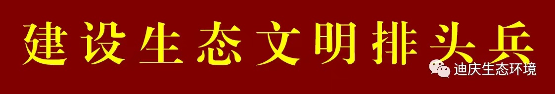 1668050527426006623.jpg 1048336066.jpg