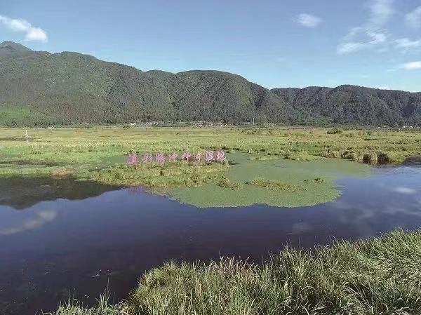 1668650190880078225.jpg 1363805245.jpg