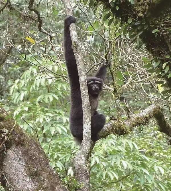 1668650217396012111.jpg 1617215409.jpg