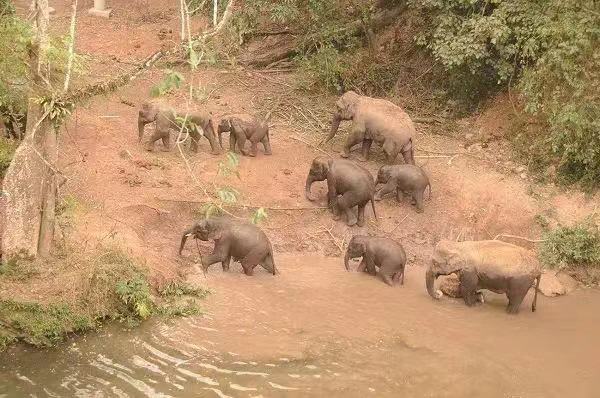 1668650236363070964.jpg 1848130026.jpg