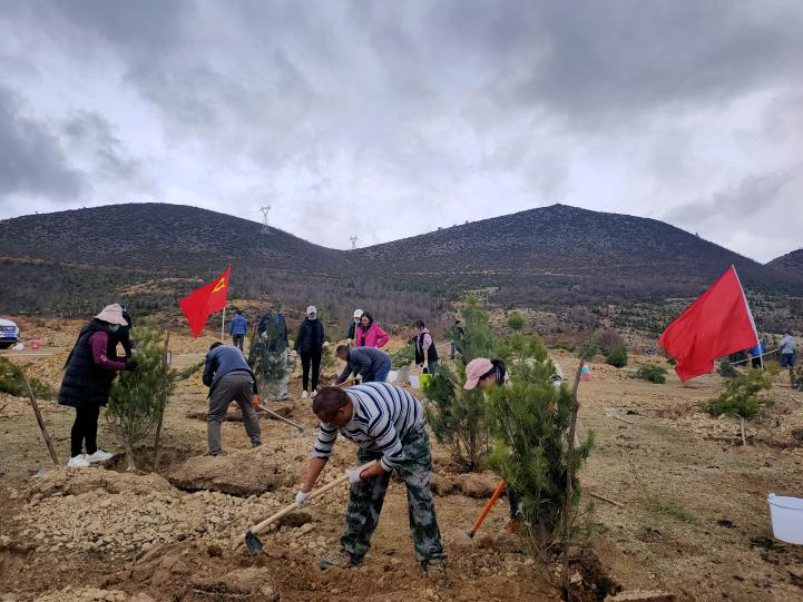 图片3.png 图片3.png