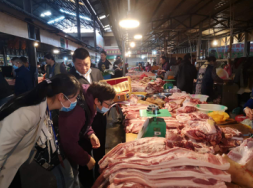 简报第64期 (2).png