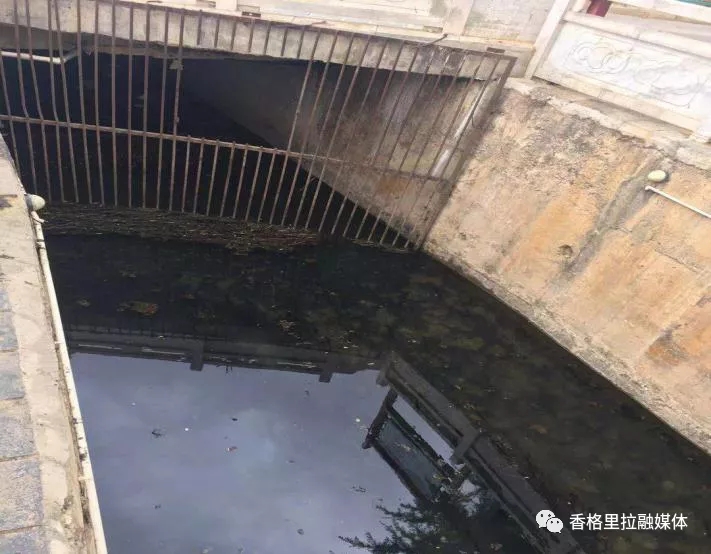 1624945035970058865.jpg 37.webp.jpg