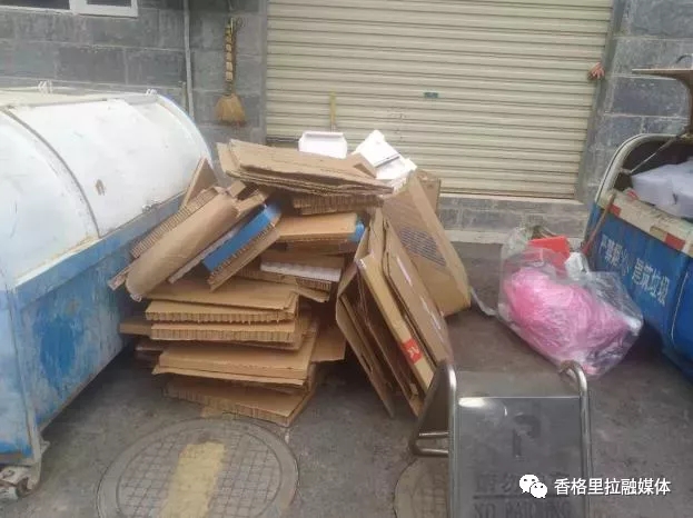 1624951918972024899.jpg 18.webp.jpg