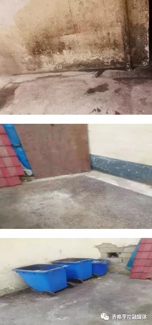 1624952006192066511.jpg 25.webp.jpg