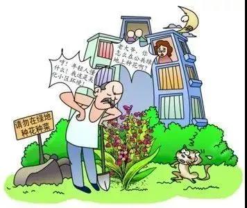 1629769017030072590.jpg 7.jpg