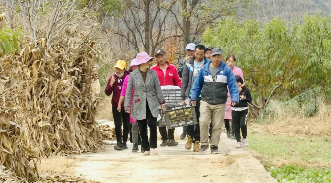 1638754184381091336.jpg 5.jpg