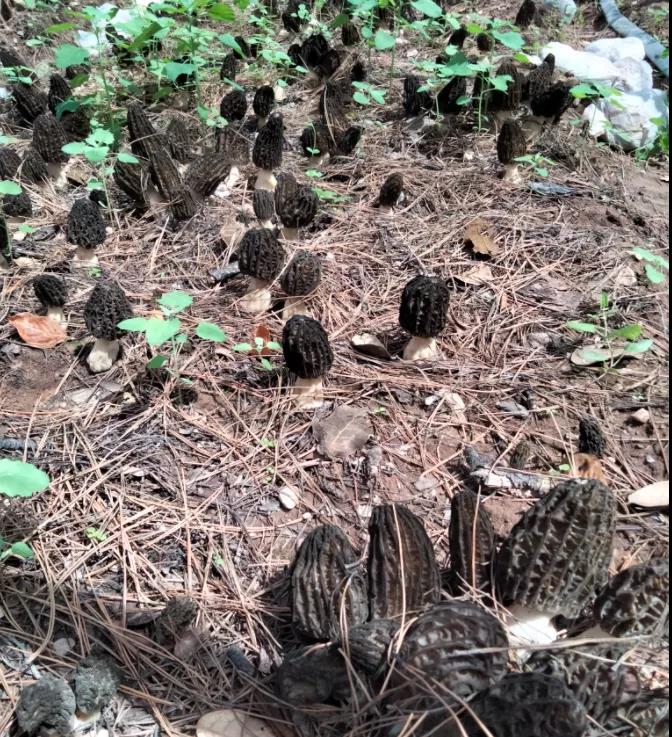 1644542135697018437.jpg 1.jpg