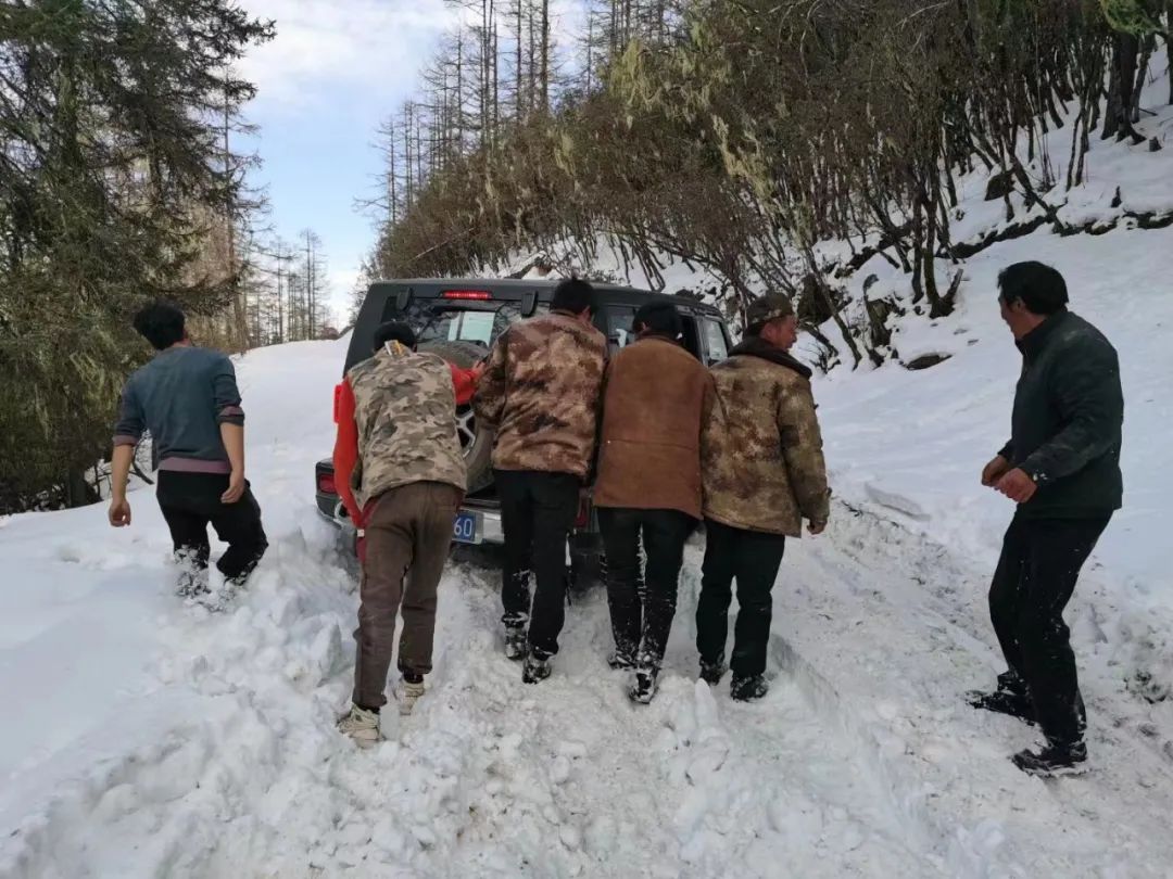 1646380689658040574.jpg 11.jpg