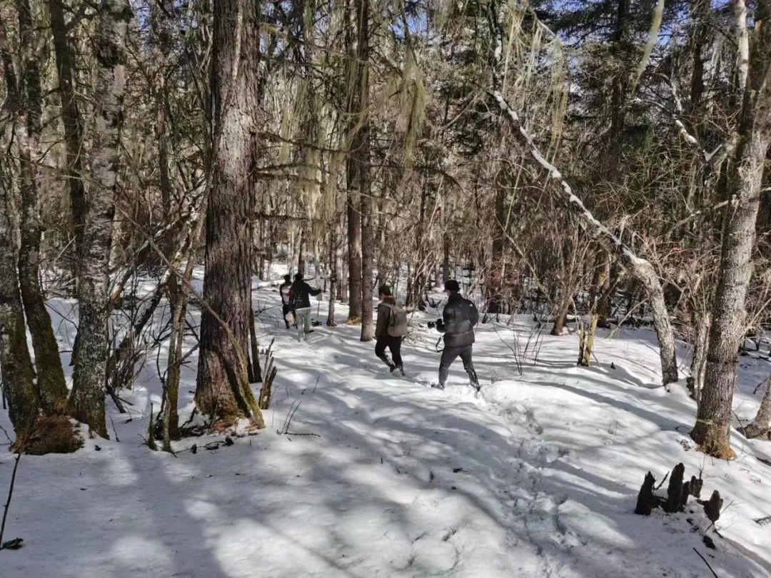 1646380703690097861.jpg 12.jpg