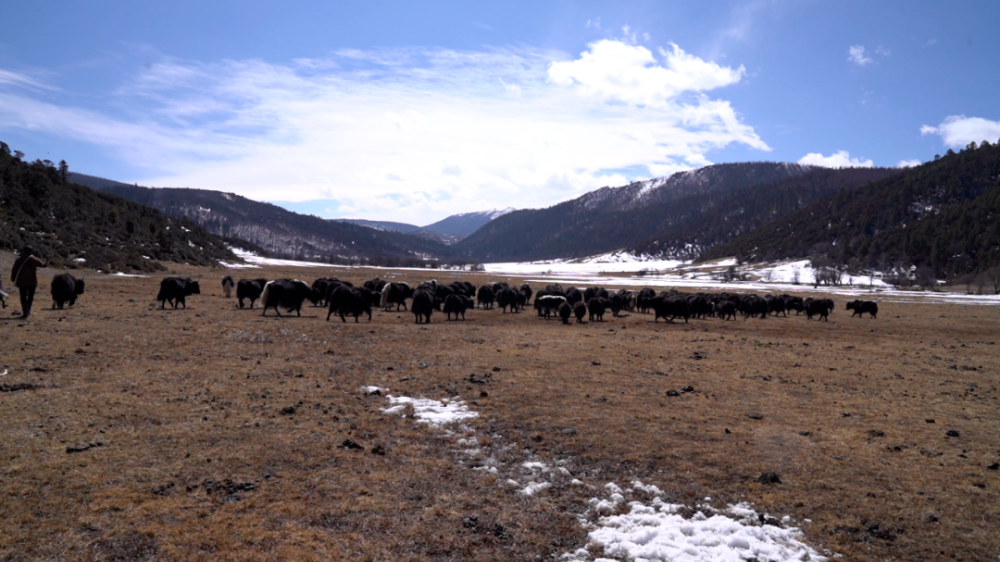 1646380717135017838.png 13.png