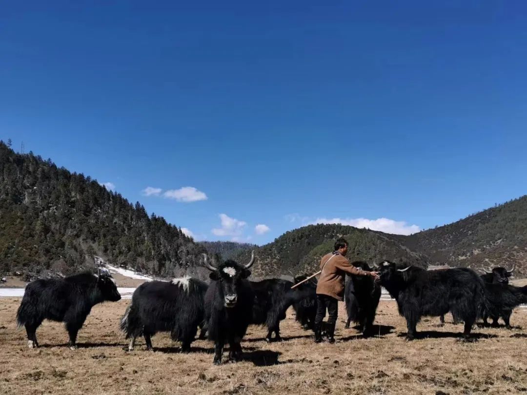 1646380731546087486.jpg 14.jpg