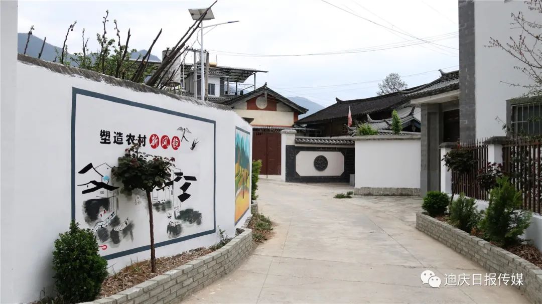 1649813284887045093.jpg 5.jpg