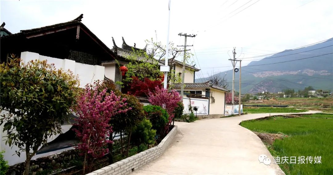 1649813295805010216.jpg 6.jpg