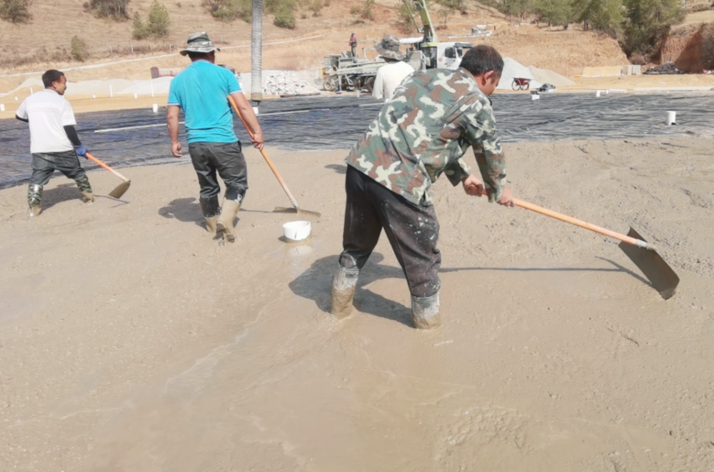 1649989559988080110.png 5.png