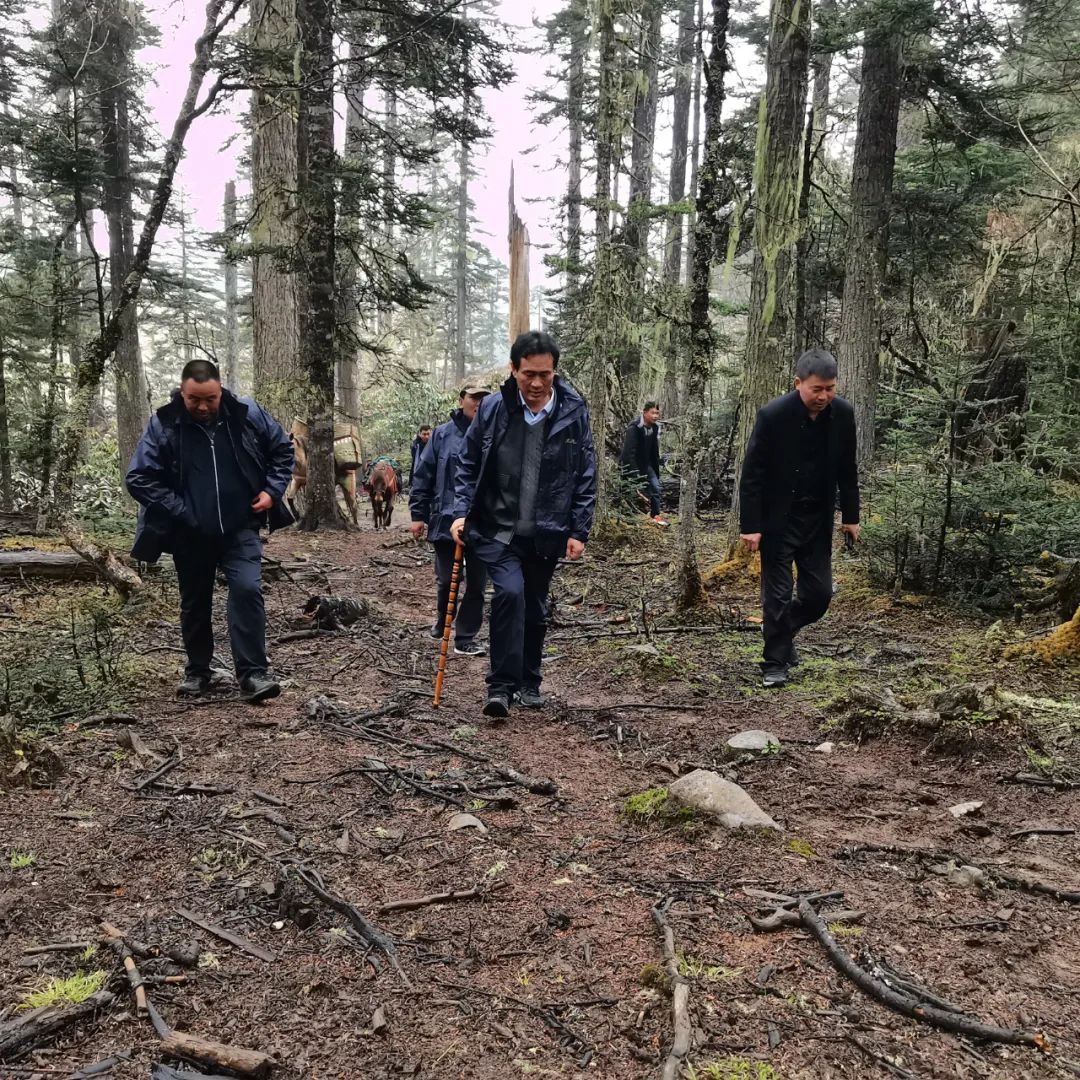 1651712220811040778.jpg 1.jpg