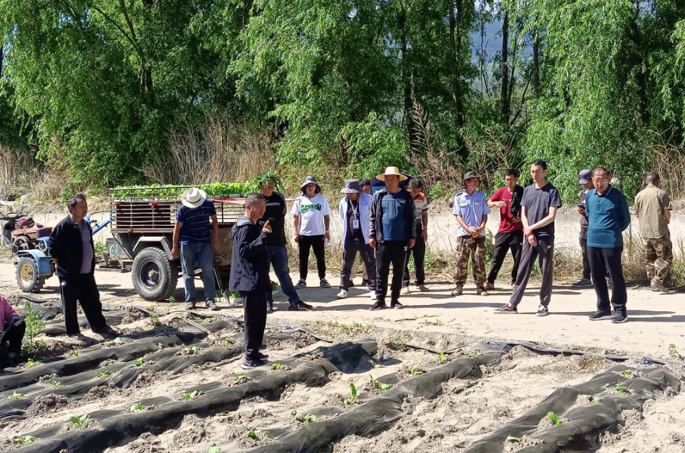 1652343276083054239.png 1.png