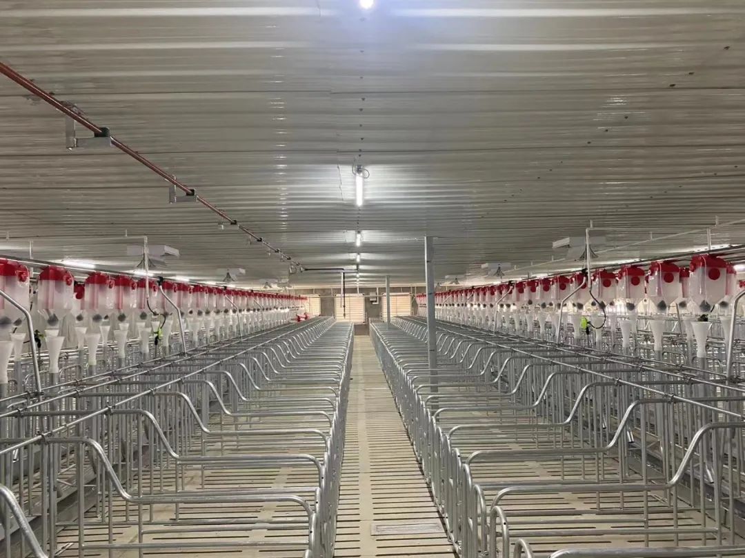 1661821299577001562.jpg 4.jpg