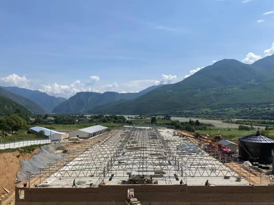 1661821313001041904.jpg 5.jpg