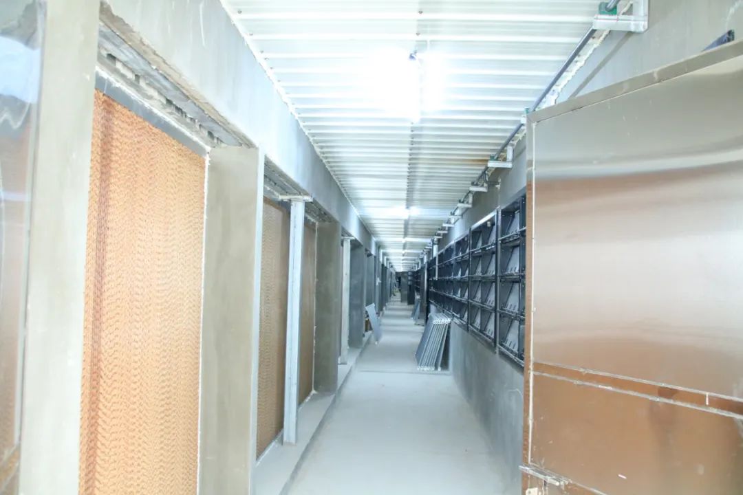 1661821369024065238.jpg 7.jpg