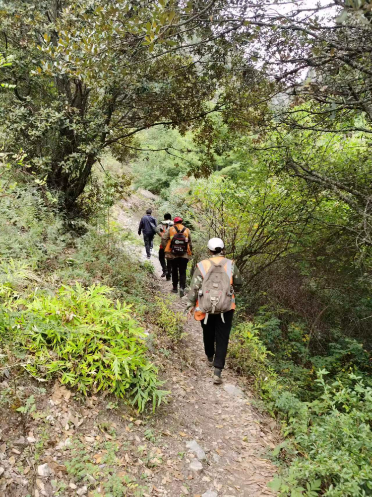 1665621710319005346.png 1.png