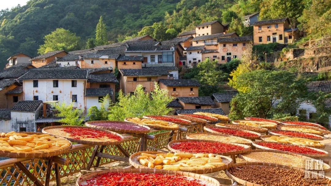 1672037199150032883.jpg 6.jpg