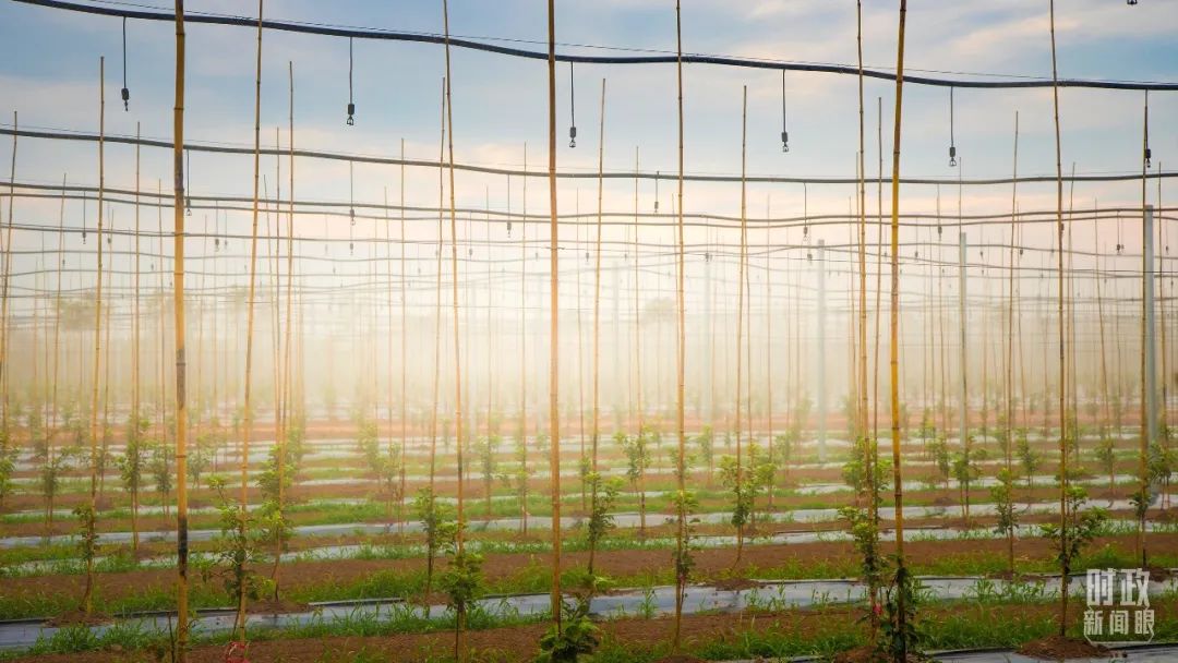 1672037552227092295.jpg 12.jpg