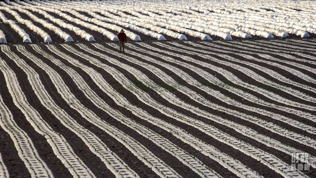 1672037576109066321.jpg 13.jpg