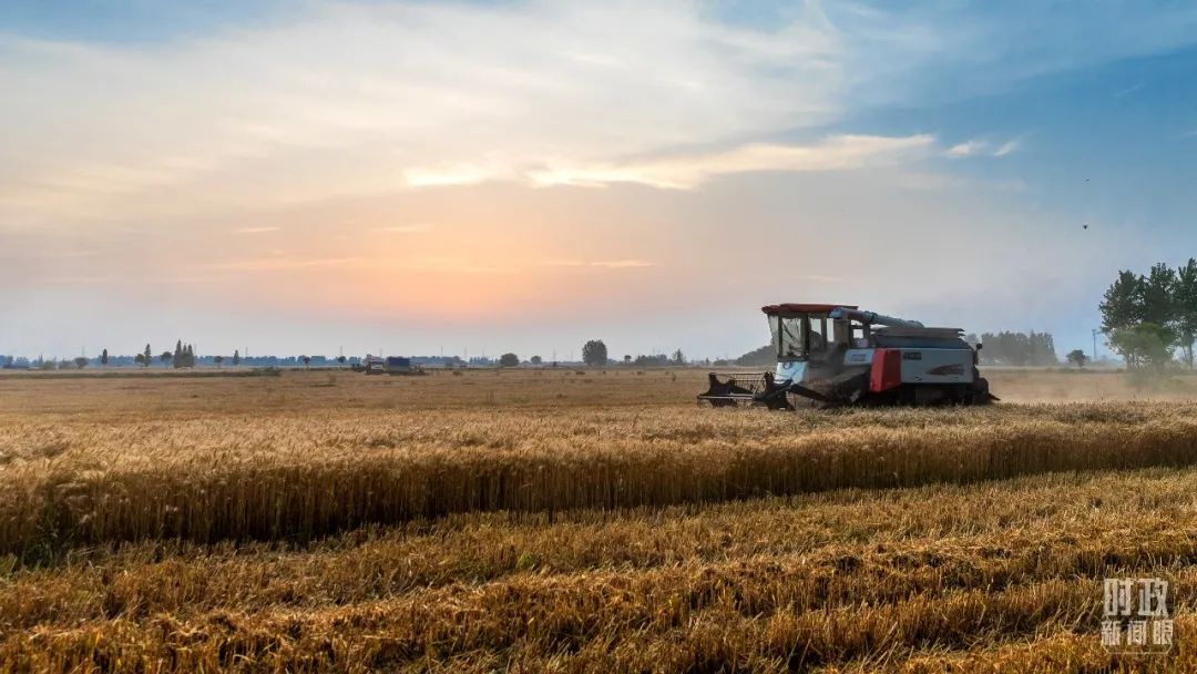 1672037661049036914.jpg 16.jpg