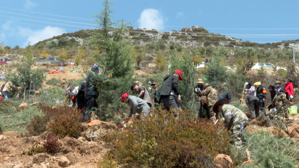 1681262784564095144.png 1.png