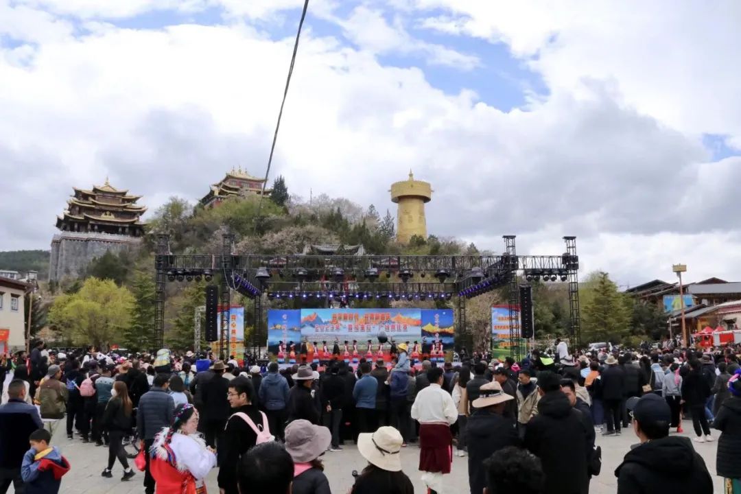 1683162339932061116.jpg 11.jpg