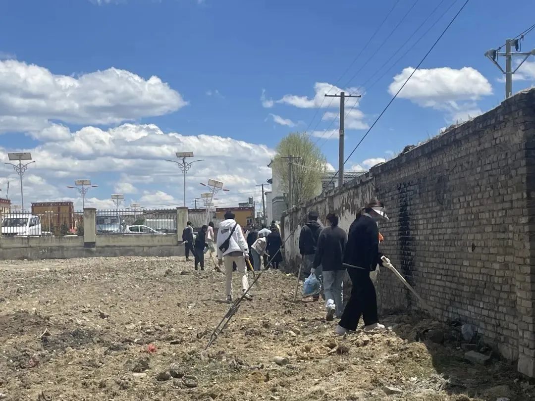 1689133503575015117.jpg 6.jpg