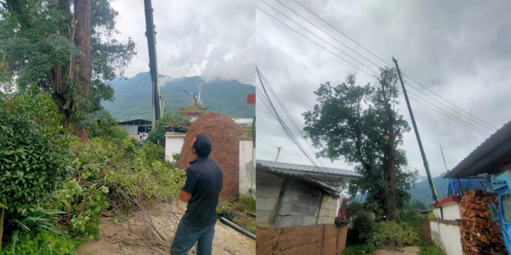 1692588461885080703.png 3.png