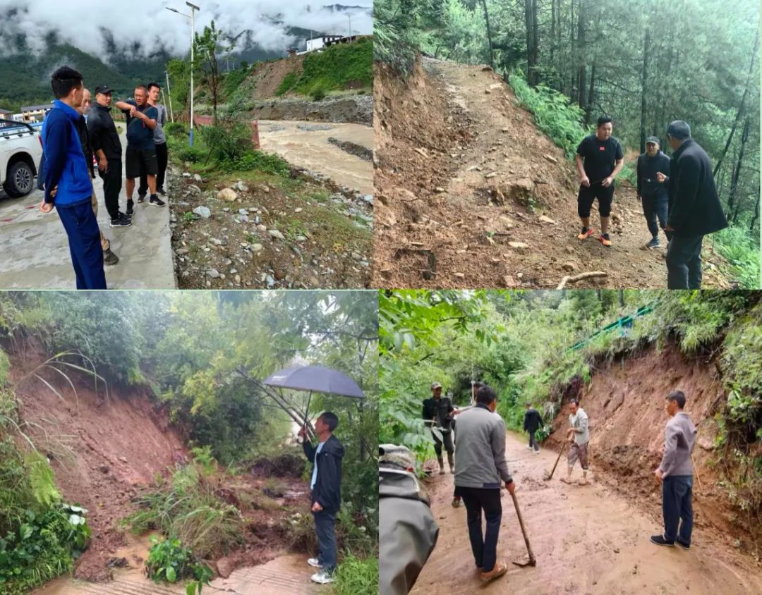 1692753676865071212.jpg 3.jpg