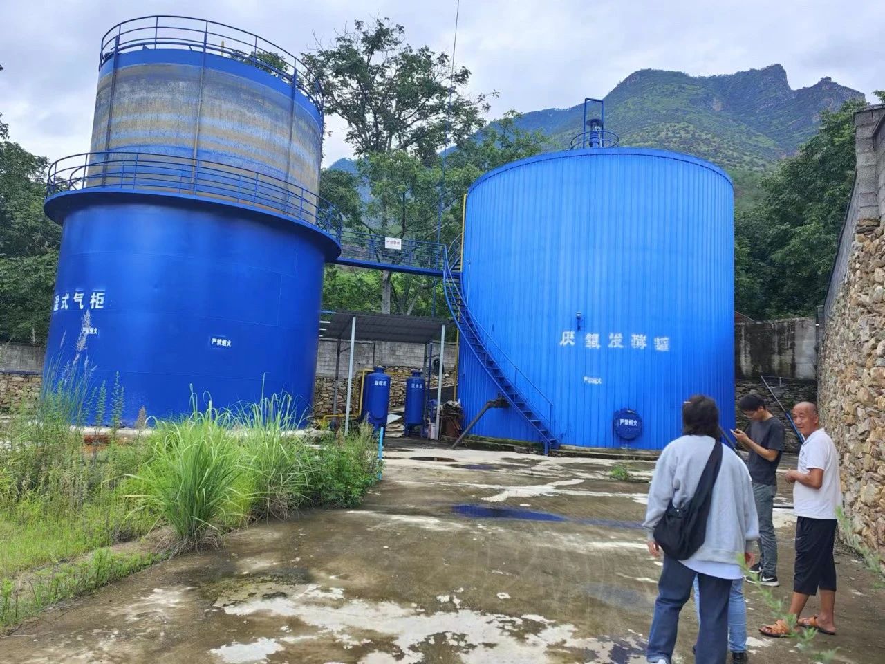 1693964106187084791.jpg 1.jpg