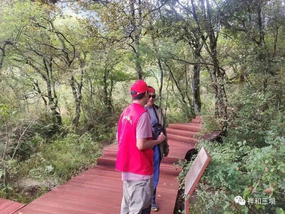 1696644220123001457.jpg 4.jpg