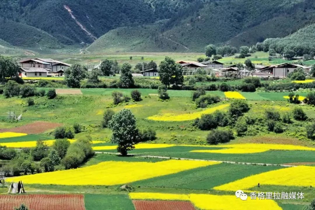 1700621694084040241.jpg 1.jpg