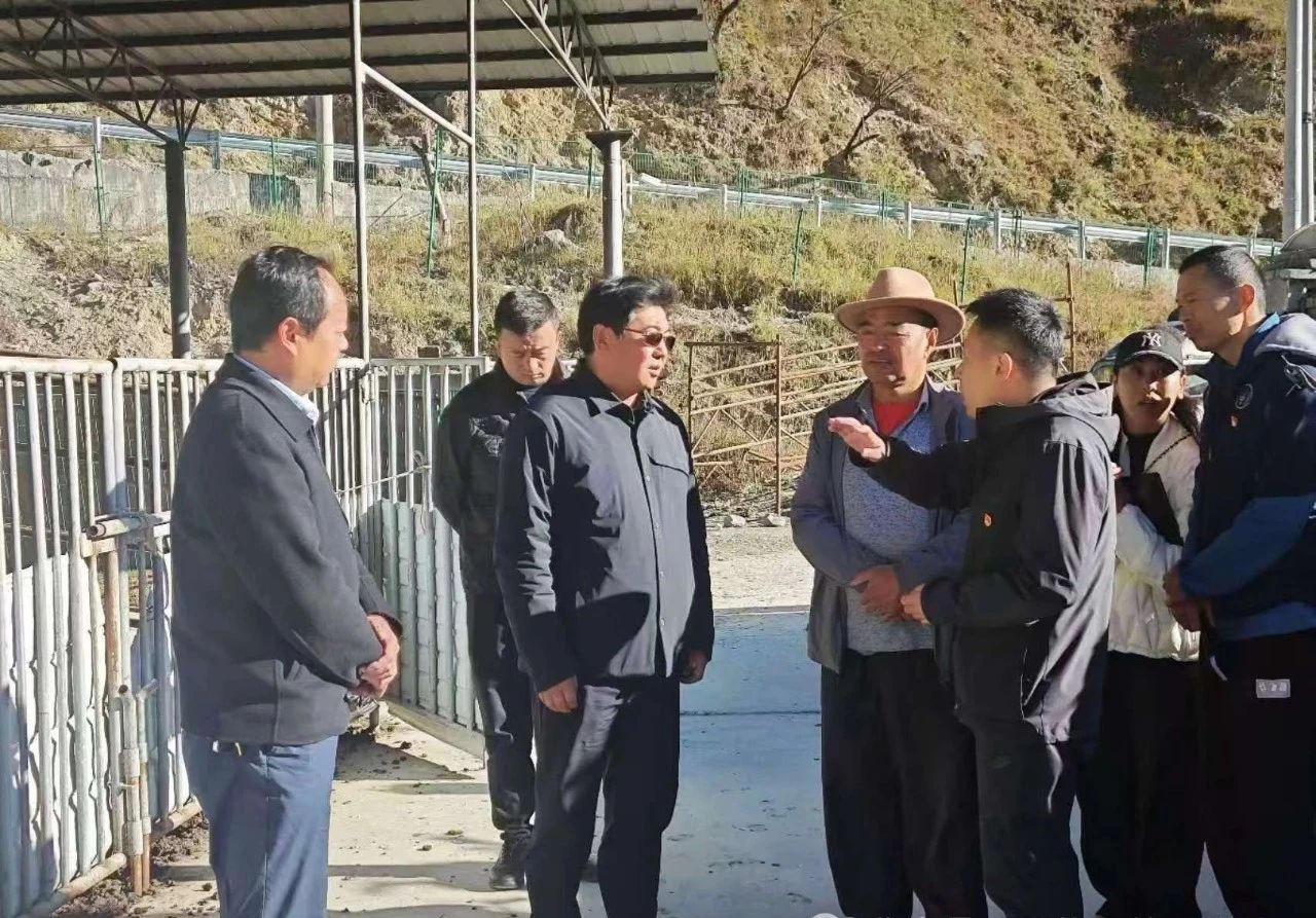 1731897365440096685.jpg 微信图片_20241118104242.jpg