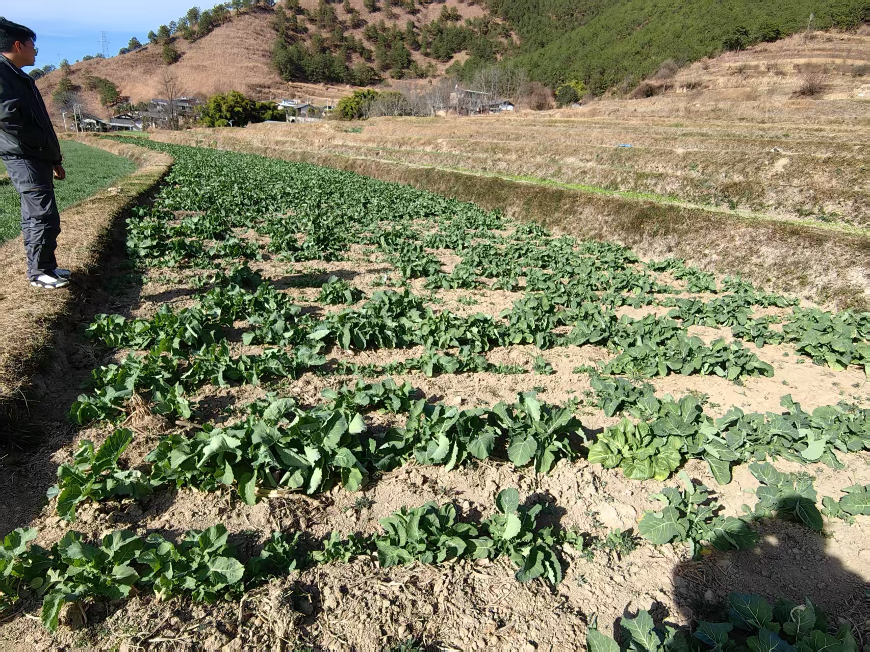 1742779601639088682.png 微信图片_20250324093957.png