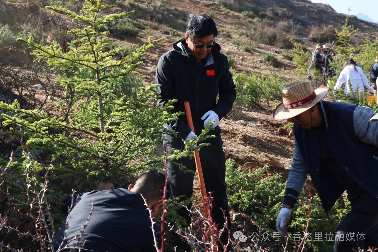 1744336537451015519.jpg 微信图片_20250411100850.jpg