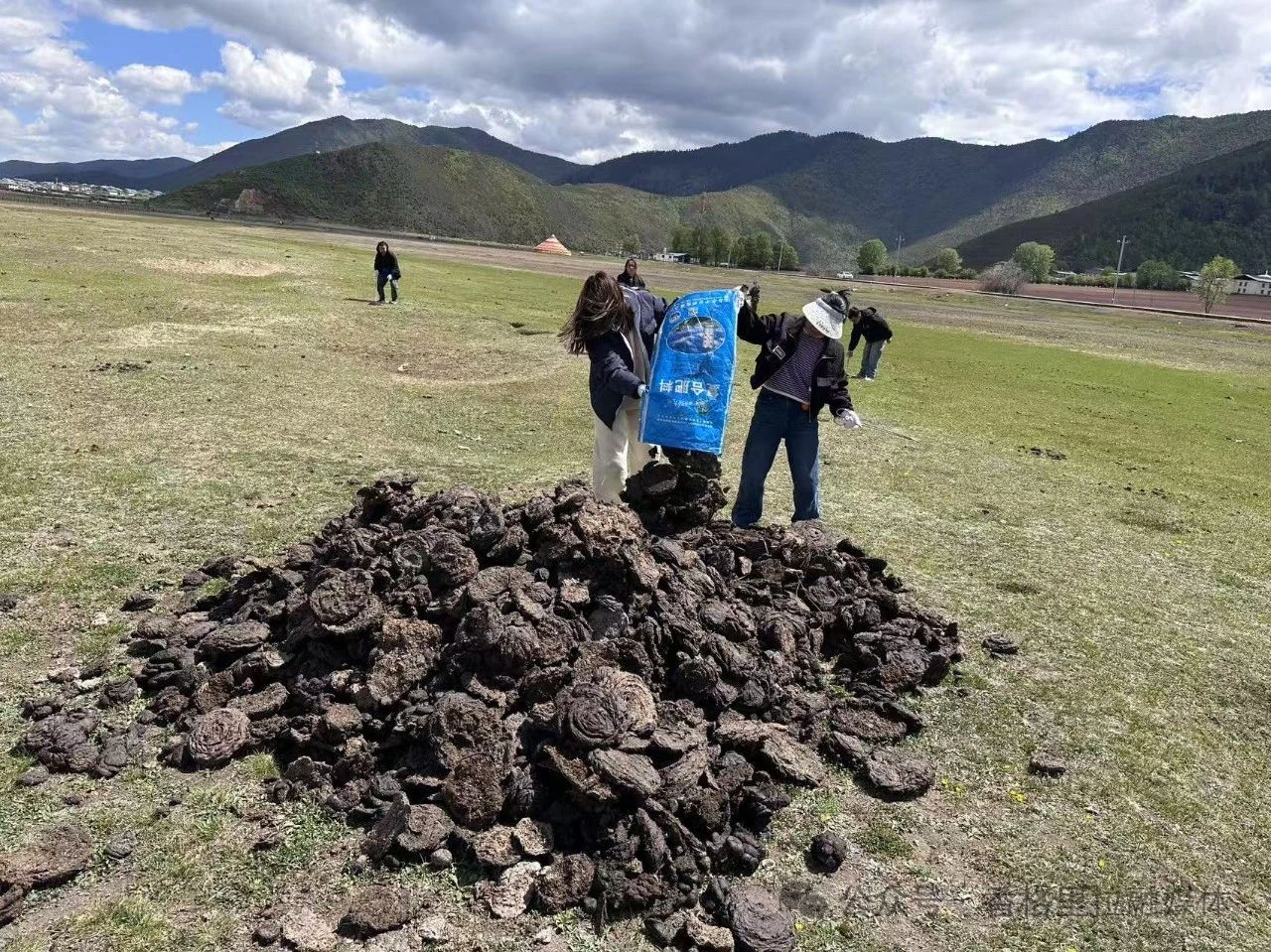 1747789150732074101.jpg 微信图片_20250521091356.jpg