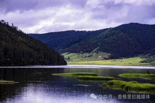 1752197973339065610.jpg 微信图片_20250711094752.jpg