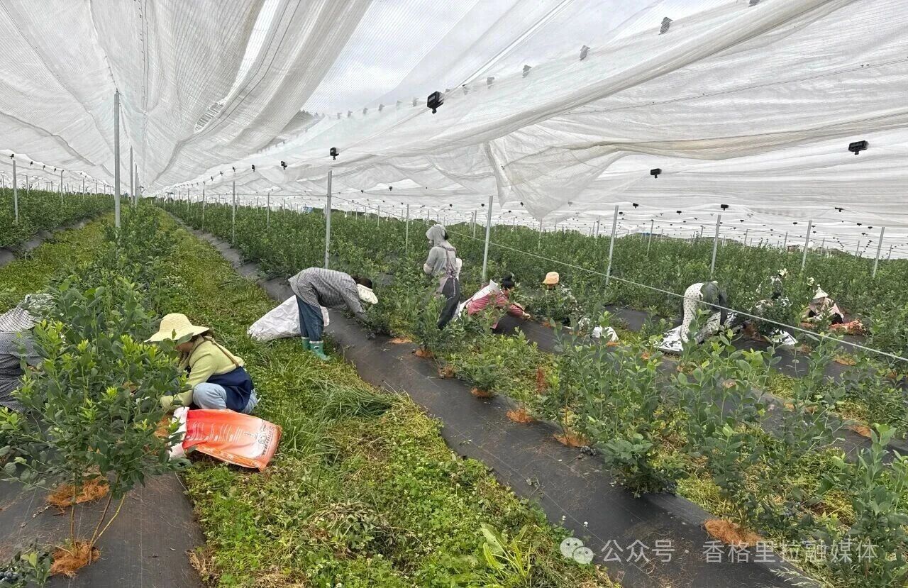 1759195422528060412.jpg 微信图片_2025-09-30_093244_014.jpg