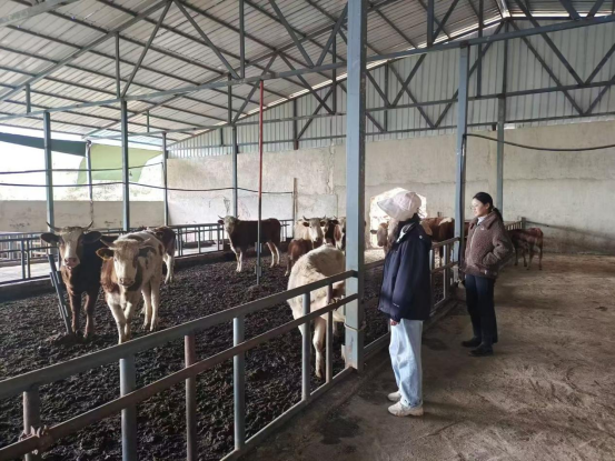 1763973054029003355.png 微信图片_2025-11-24_163956_614.png