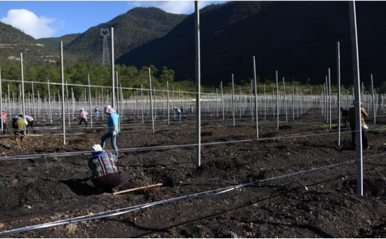 1763973110452016013.png 微信图片_2025-11-24_164015_701.png