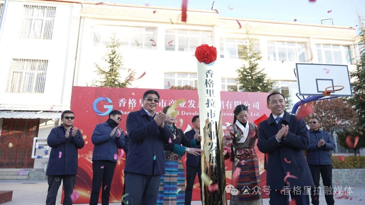 巨燕冬出席市产业发展集团揭牌仪式并召开座谈会