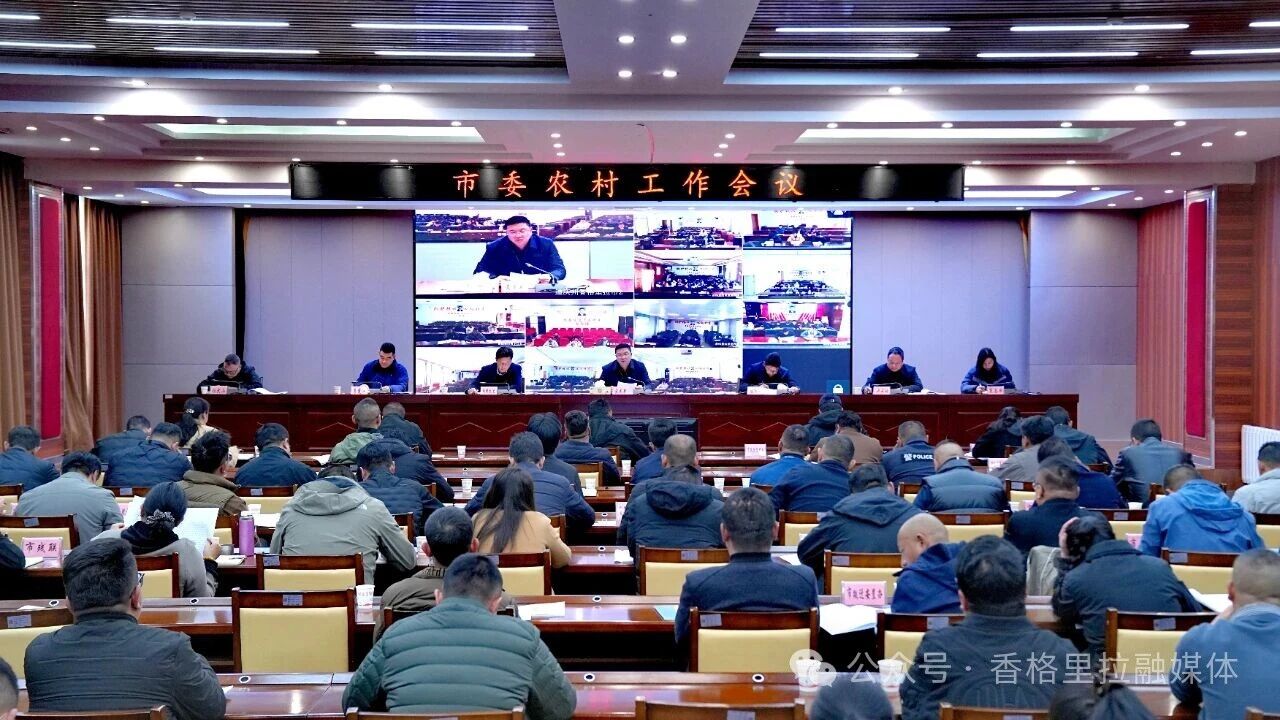 1773218647338004424.jpg 微信图片_2026-03-11_165415_118.jpg