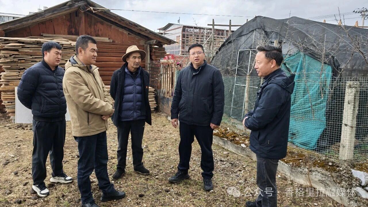 1773992650832032552.jpg 微信图片_2026-03-20_155405_843.jpg