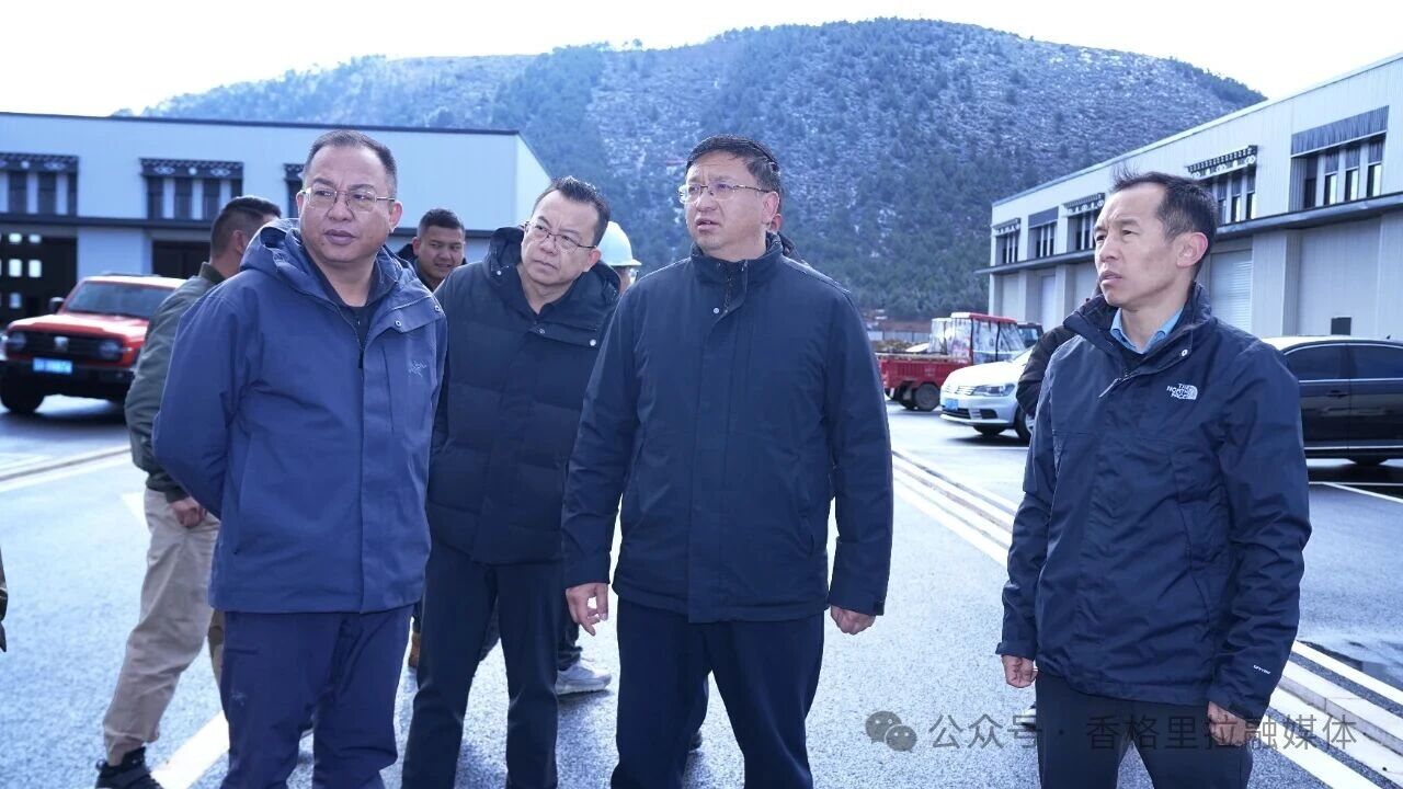 黄龙新调研重点项目建设、基层治理和特色产业发展工作