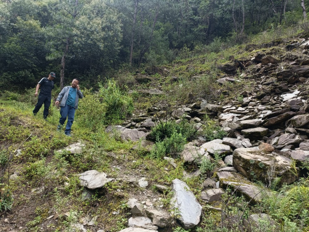 1658804993511098875.jpg 0555b20c67aeaa7db4e4907cebee1f5.jpg